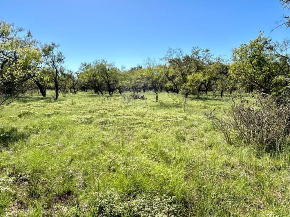 New Listing 31 - Acres Brown County featured image