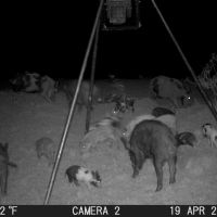 New Listing 31 - Acres Brown County images 3