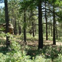 H5 Santa Fe Trail Ranch images 3