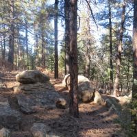 14C Rancho Escondido Cabin images 5