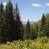 28 Cuchara Pass Ranch