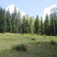 28 Cuchara Pass Ranch images 2