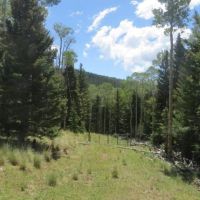 28 Cuchara Pass Ranch images 4