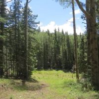28 Cuchara Pass Ranch images 5