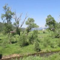 The Bridge House Property images 4