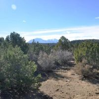5 Silver Spurs Ranch images 3