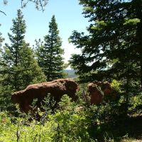 4 The Woods at Monument Lake images 4