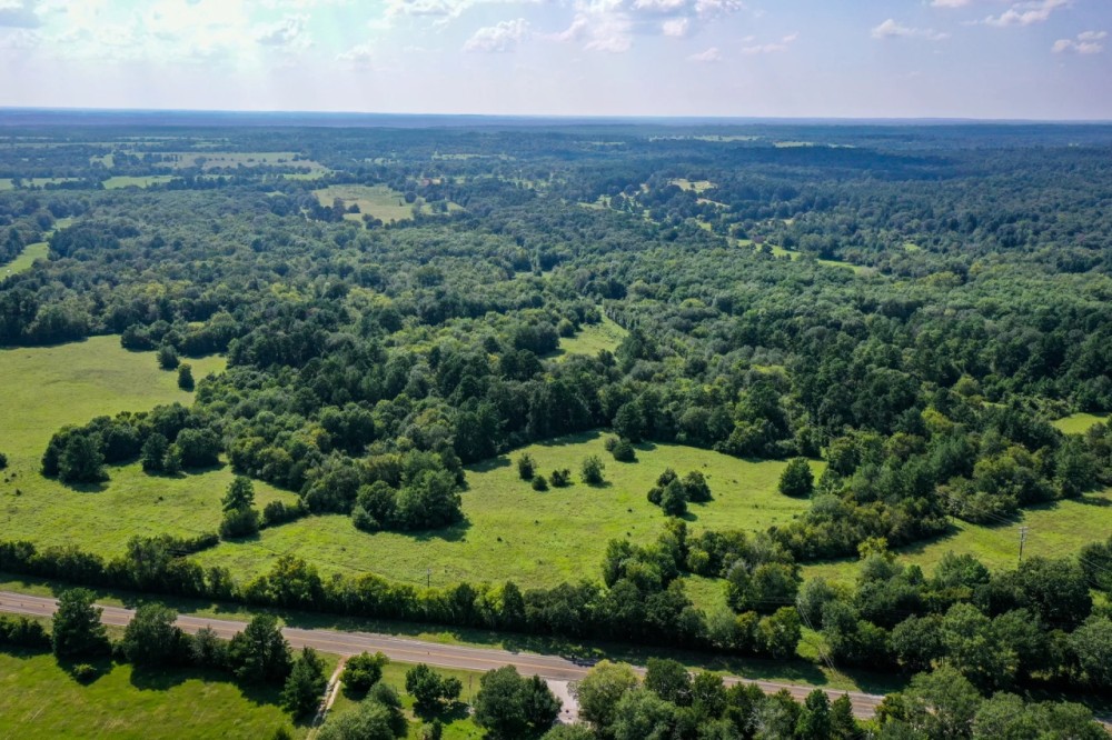 34 Acres FM 1374 Huntsville TX 77340 featured image