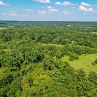 34 Acres FM 1374 Huntsville TX 77340 images 5