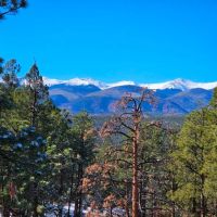 63 North Fork Properties images 2