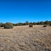 3 Unit 1 Delagua Canyon Ranches images 2