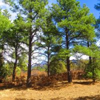 B78 Santa Fe Trail Ranch images 2
