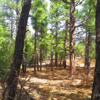 B78 Santa Fe Trail Ranch images 4