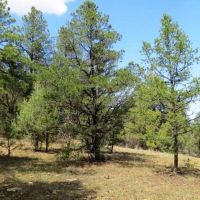 D92 Santa Fe Trail Ranch images 3