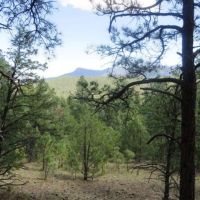 D92 Santa Fe Trail Ranch images 4