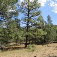 D92 Santa Fe Trail Ranch images 5