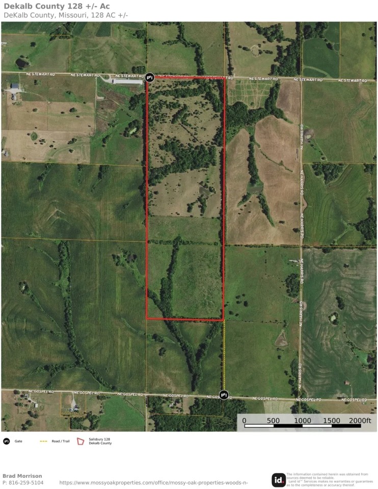 Hunting Cattle Farm with Rowcrop Income in Dekalb County featured image