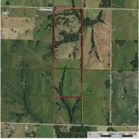 Hunting Cattle Farm with Rowcrop Income in Dekalb County