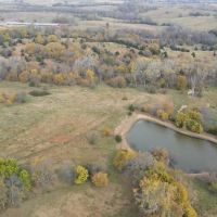 Hunting Cattle Farm with Rowcrop Income in Dekalb County images 2