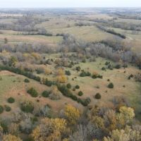 Hunting Cattle Farm with Rowcrop Income in Dekalb County images 3