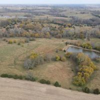 Hunting Cattle Farm with Rowcrop Income in Dekalb County images 4