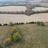 Hunting Cattle Farm with Rowcrop Income in Dekalb County images 5