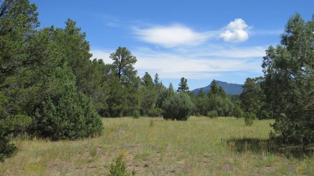 D74 Santa Fe Trail Ranch featured image