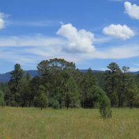 D74 Santa Fe Trail Ranch images 3