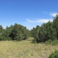D74 Santa Fe Trail Ranch images 5