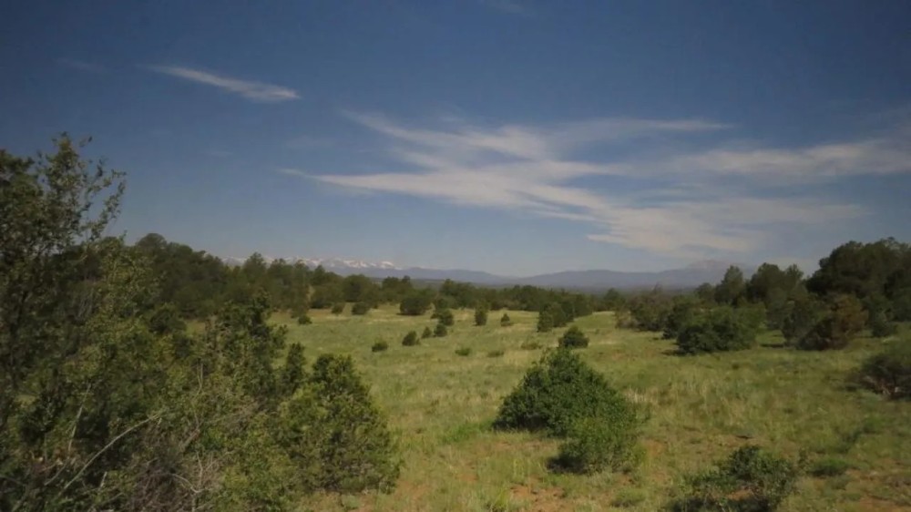 17 Primero Ranch featured image
