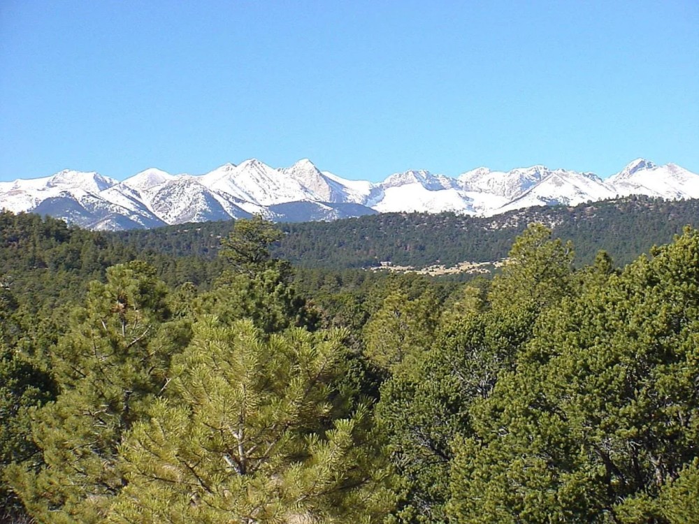 5 Milligan Ranch featured image