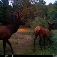 167 Blackhawk Ranch images 4