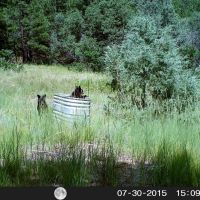 167 Blackhawk Ranch images 5