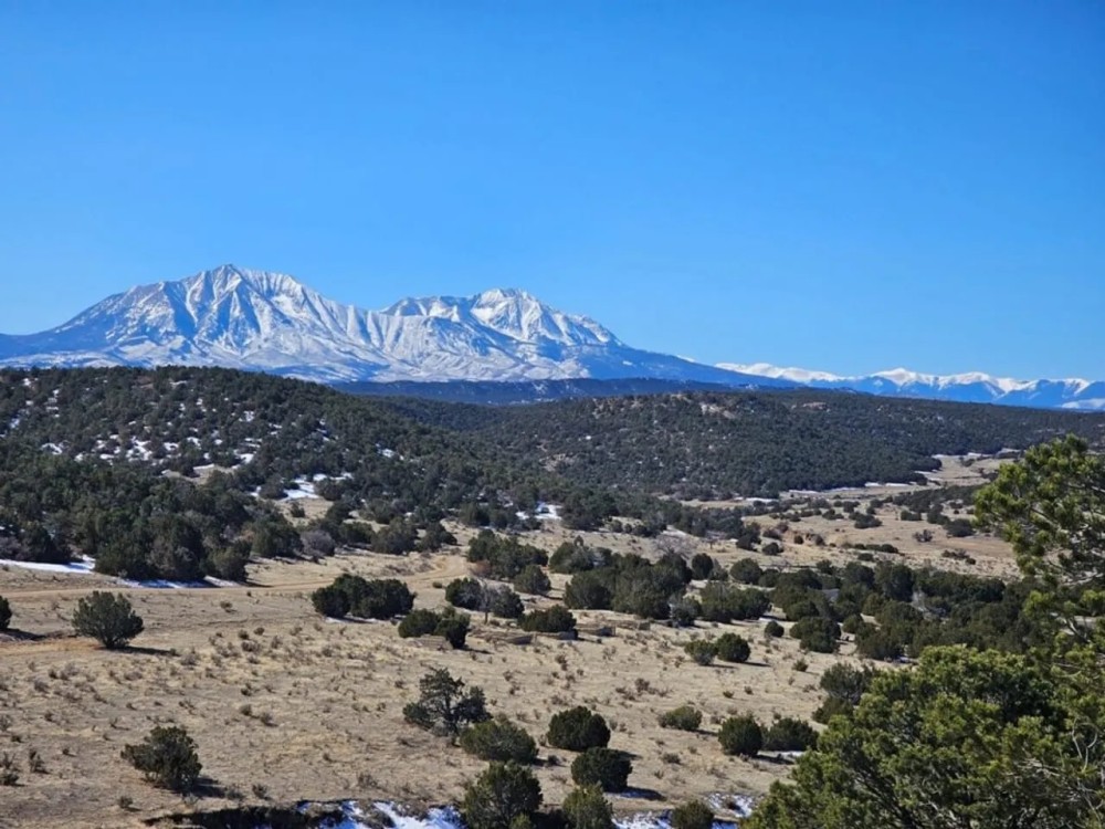 56 Silver Spurs Ranch featured image