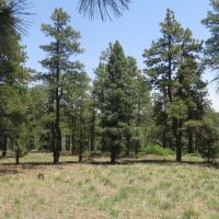 18C Rancho Escondido images 3