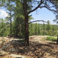 18C Rancho Escondido images 4