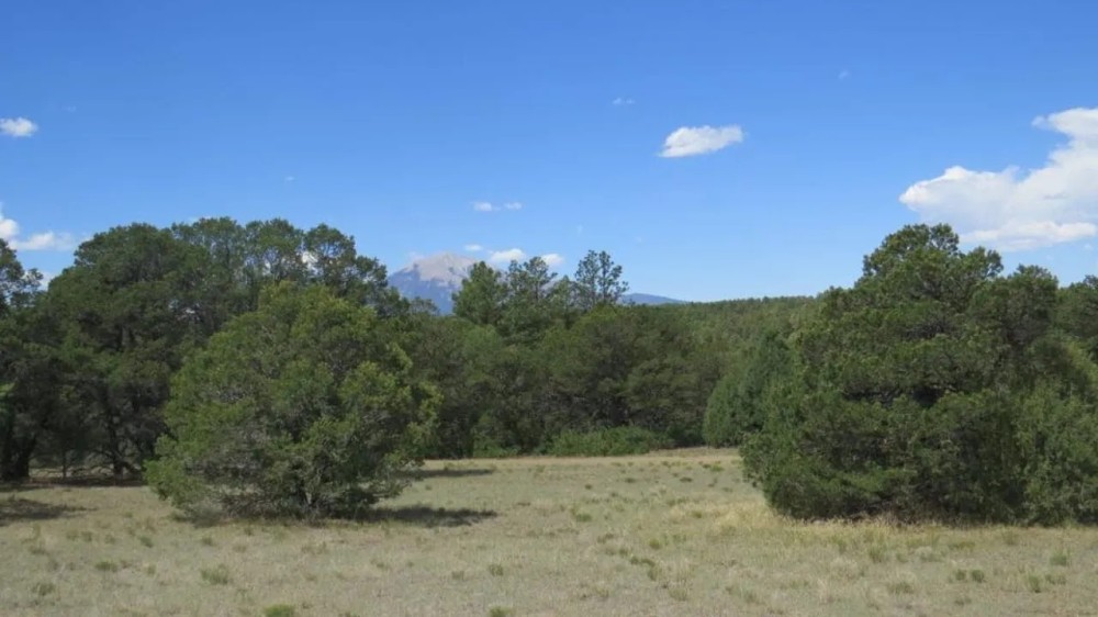 123 Blackhawk Ranch featured image