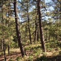 B70 Santa Fe Trail Ranch images 4