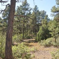 B70 Santa Fe Trail Ranch images 5