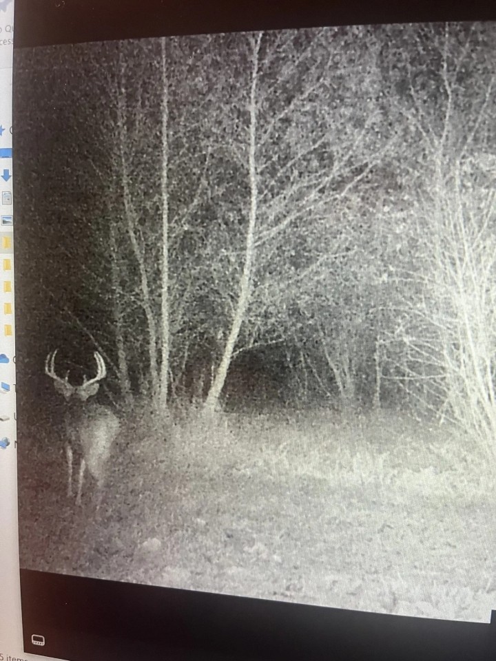 000 County Road 2200E Fairfield IL 62837 featured image