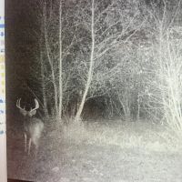 000 County Road 2200E Fairfield IL 62837