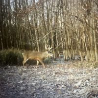 000 County Road 2200E Fairfield IL 62837 images 3