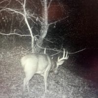 000 County Road 2200E Fairfield IL 62837 images 4