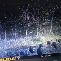 000 County Road 2200E Fairfield IL 62837 images 5