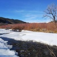 60 Acre River Property Weston Colorado