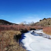 60 Acre River Property Weston Colorado images 5