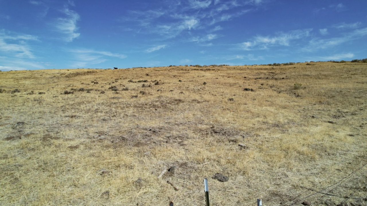 Reservoir Recreation Ranch Hunting Land for Sale