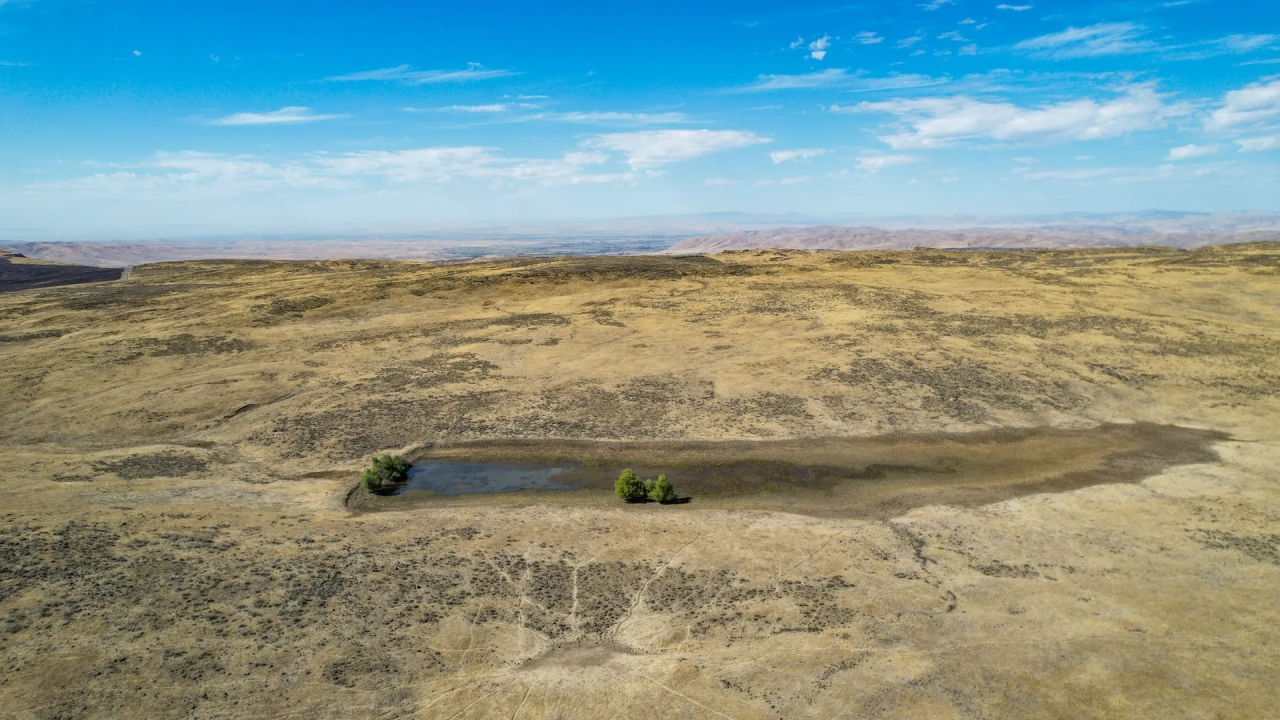 Reservoir Recreation Ranch Hunting Land for Sale