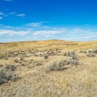 Reservoir Recreation Ranch images 4