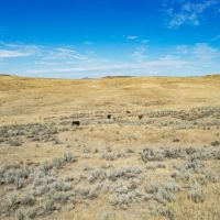 Reservoir Recreation Ranch images 5